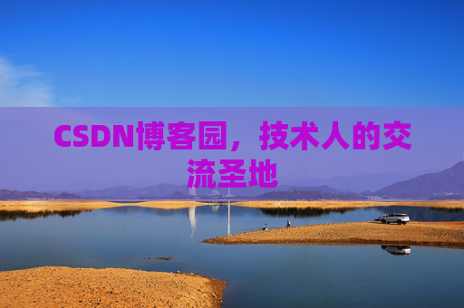 CSDN博客园，技术人的交流圣地